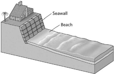 <strong>Notice the newly constructed seawall in the illustration below. The MOST likely outcome of its construction is that the seawall will </strong> A)permanently protect the home from beach erosion. B)increase sediment production on the beach, decreasing the rate of erosion. C)deter biologic activity that might compromise the integrity of the cliff. D)temporarily protect the cliff from beach erosion.