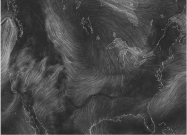 <strong>Look closely at the wind map below. The winds are represented by the swirling lines. The __________lines indicate a __________ wind speed. </strong> A)closely spaced thin; slower B)farther-spaced thick; slower C)closely spaced thick; faster D)farther-spaced thin; faster