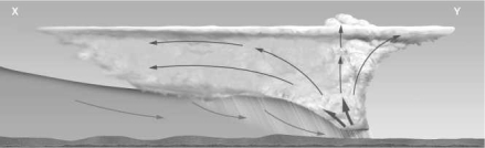 The image below depicts thunderstorm formation as a result of