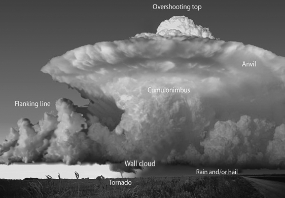 The following image shows the rotating clouds of a(n)  