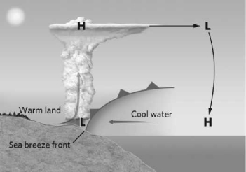 The circulation of air illustrated in the image below is known as a(n)