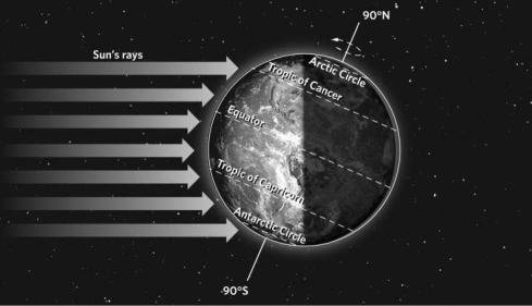 <strong>In the illustration below, which part of Earth is receiving the most sunlight? </strong> A)Tropic of Capricorn B)South Pole C)equator D)Tropic of Cancer