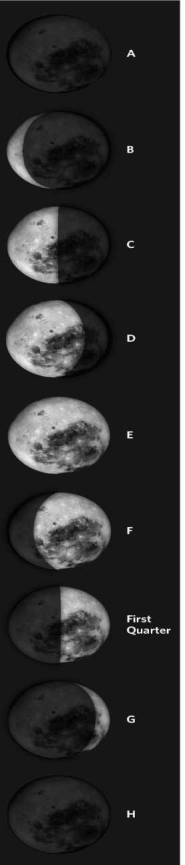 Identify the different phases of Earth's moon on the figure below, using the word bank provided.