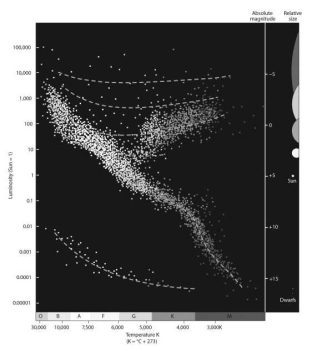 <strong>Which type of stars appear at the bottom of the Hertzsprung-Russell diagram shown below?  </strong> A)white dwarfs B)main sequence C)supergiants D)red giants <div style=padding-top: 35px> 