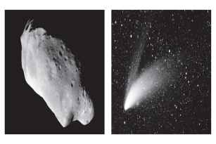 <strong>Which of the following is NOT true about comets and asteroids?  </strong> A)Both orbit the sun B)Both are planetesimals C)Both are numerous in our Solar System D)Both are composed of rock and ice <div style=padding-top: 35px> 