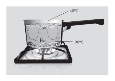 <strong>Heat transfer that occurs through the movement of a fluid,driven by temperature differences among various points within the fluid,is termed ____________.  </strong> A)radiation B)conduction C)convection D)adhesion <div style=padding-top: 35px> 