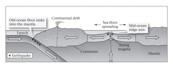 <strong>The term and concept of sea-floor spreading (see figure below)was developed by _____________. </strong> A)Hess and Dietz B)Hess and Wegener C)Wegener and Dietz D)Wegener