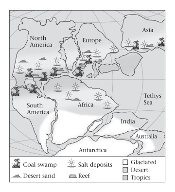 <strong>Consult the figure below.Abundant swamps led to the formation of coal during the Late Paleozoic in which of the following places? </strong> A)India B)southern Africa C)North America D)South America
