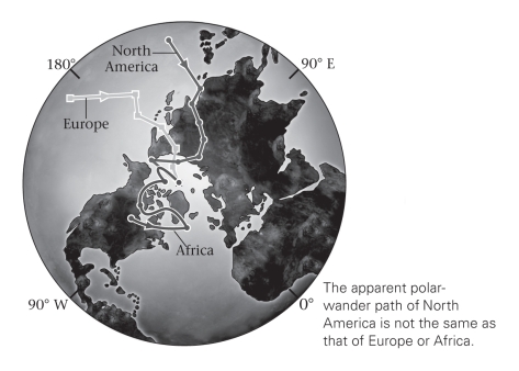 <strong>The discovery that each continent had different and separate polar wander paths proved that _____________. </strong> A)Wegener was right: continents move B)the poles move C)both the poles and continents move