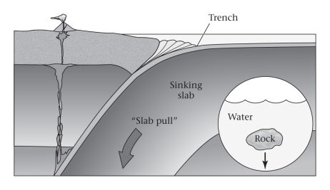 <strong>Consult the figure below.Most of the pulling force driving plate motion is produced ____________.  </strong> A)at mid-ocean ridges B)at subduction zones C)at collision zones D)in the interiors of continental plates <div style=padding-top: 35px> 