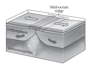 <strong>At a divergent plate boundary (shown below),two opposed plates ____________.  </strong> A)move toward one another B)move away from one another C)slide past one another <div style=padding-top: 35px> 