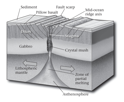 <strong>As compared to a slowly spreading mid-ocean ridge,a rapidly spreading ridge is ____________.  </strong> A)wider B)narrower C)more silicic in lava composition <div style=padding-top: 35px> 