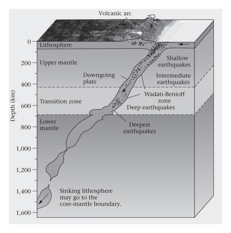 <strong>Consult the figure below.The Wadati-Benioff zone is a belt of earthquakes found ____________.  </strong> A)within an otherwise stable continental interior B)within an overriding plate at a subduction zone C)within a downgoing plate at a subduction zone D)along mid-ocean ridges <div style=padding-top: 35px> 