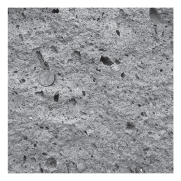<strong>A volcano emits ash,which falls from the sky,settles in layers,and is eventually cemented.The resulting rock is termed ____________.  </strong> A)pumice B)granite C)tuff D)ignimbrite <div style=padding-top: 35px> 