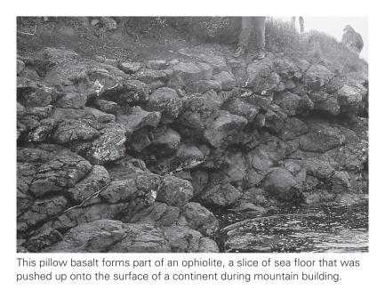 <strong>Pillow basalts,shown below,attain their distinctive blob-like shapes because their parent lavas do not travel far prior to solidification.This is because the parent lavas ____________.  </strong> A)are completely devoid of volatiles and thus travel slowly B)erupt underwater and thus cool very quickly C)are highly felsic and thus travel slowly D)are ultramafic and thus freeze at exceptionally high temperatures <div style=padding-top: 35px> 