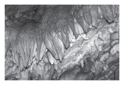<strong>Physically precipitated (chemical)limestone that forms in caves is termed ____________. </strong> A)agate B)dolostone C)jasper D)travertine