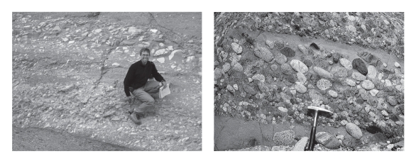 <strong>Consult the figure below.The difference between breccia and conglomerate is that conglomerate ____________. </strong> A)is finer grained than breccia B)is coarser grained than breccia C)possesses more angular grains than breccia D)possesses more rounded grains than breccia