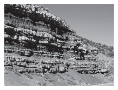 <strong>Geologists call individual layers of sedimentary rocks _____________ ,whereas several of them together are called ____________. </strong> A)beds;strata B)strata;beds
