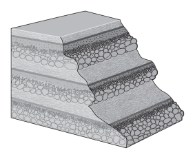 <strong>Consult the figure below.Graded beds tell a geologist that a _____________. </strong> A)turbidity current deposited these beds,depositing finer material first B)turbidity current deposited these beds,depositing coarser material first C)slurry deposited these beds with little sorting D)density current deposited these beds,depositing coarser material first