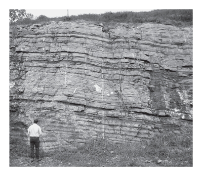 <strong>Consult the figure below.Limestone is most likely formed in which of the following environments? </strong> A)shallow-marine clastic B)shallow-marine carbonate C)marine delta D)deep marine