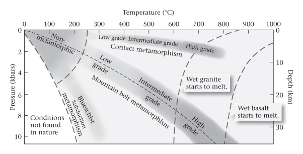 <strong>Consult the figure below.Compared to low-grade metamorphic rocks,high-grade rocks ____________. </strong> A)always contain more quartz and feldspar B)are produced closer to the surface,high in the stratigraphic column C)are produced at greater temperatures and pressures D)are produced at cooler temperatures,but greater pressures
