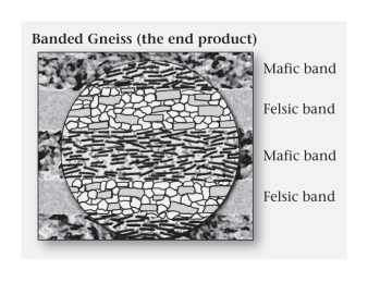 <strong>In the formation of gneiss from granite,the distinctive compositional bands form due to ____________. </strong> A)crystals migrating within the rock B)crystals dissolving,and atoms and ions migrating and reorganizing as new crystals C)crystals melting,with new crystals solidifying in color bands D)the bizarre and seemingly unknowable nature of the blueschist metamorphic facies