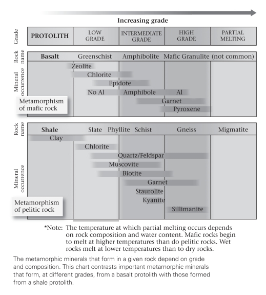 <strong>Consult the figure below.A mineral within a metamorphic rock that can be used to provide a narrow constraint on the temperature and pressure of formation of the rock is termed a(n)____________. </strong> A)thermineral B)index mineral C)mafic mineral D)halide mineral