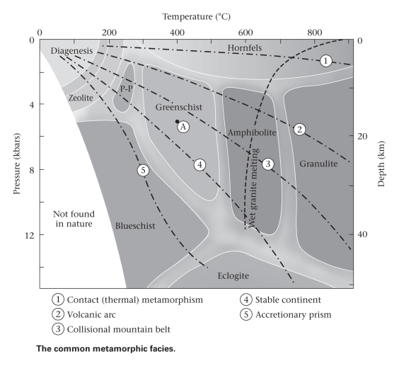 <strong>Consult the figure below.As compared to the amphibolite metamorphic facies,the greenschist facies ____________. </strong> A)consist of lower-grade rocks B)consist of higher-grade rocks C)is an identical temperature and pressure regime;greenschists and amphibolites bear different mineral assemblages only because of differences in protolith chemistry