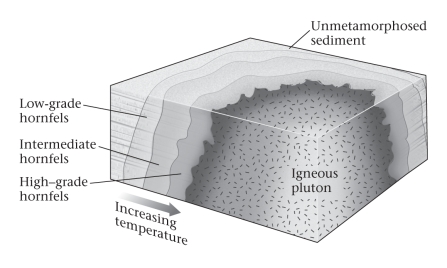 <strong>Consult the figure below.The region of thermally metamorphosed rock surrounding a cooled pluton is called a(n)____________. </strong> A)shear zone B)aureole C)oriole D)oleo