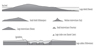 <strong>Of the three primary forms of subaerial volcanoes,____________ are the largest in area. </strong> A)stratovolcanoes B)cinder cones C)shield volcanoes