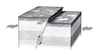 <strong>If,during an earthquake,a hanging wall slides upward relative to a footwall,the fault is termed ____________ if the fault is steep (closer to vertical than horizontal).  </strong> A)normal B)reverse C)strike slip D)thrust <div style=padding-top: 35px> 
