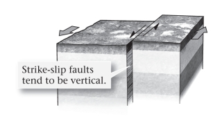 <strong>If a fault is nearly vertical in orientation and the two walls of rock on opposite sides slide past one another horizontally,the fault is termed ____________.  </strong> A)normal B)reverse C)strike slip D)thrust <div style=padding-top: 35px> 