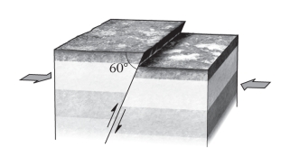 <strong>At any point along the surface of an oblique (nonvertical)fault,the ____________.  </strong> A)hanging wall lies vertically above the footwall B)footwall lies vertically above the hanging wall C)hanging wall lies to the left of the footwall D)footwall lies to the left of the hanging wall <div style=padding-top: 35px> 