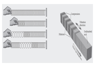 <strong>A coiled spring would be useful in illustrating a ____________ wave.  </strong> A)surface B)body C)shear D)compressional <div style=padding-top: 35px> 