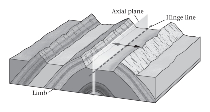 <strong>A fold shaped like an elongate arch is a(n)____________. </strong> A)anticline B)basin C)dome D)syncline