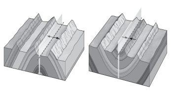 <strong>The sides of a fold,where curvature is at a minimum,are termed ____________. </strong> A)branches B)limbs C)axial planes D)hinges