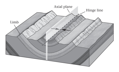 <strong>On a geologic map,if the contacts between sedimentary rock units form a series of parallel lines,with the youngest unit in the center,the underlying structure is a(n)____________. </strong> A)anticline B)basin C)dome D)syncline