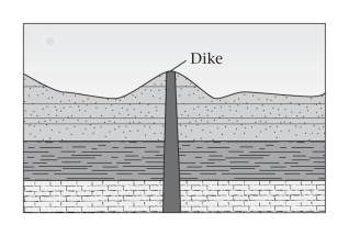 <strong>Which of the following geologic principles is NOT a result of gravity? </strong> A)original horizontality B)cross-cutting relationships C)original continuity D)superposition