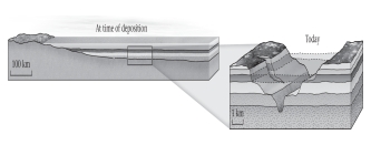 <strong>If the lithology and fossil content of two bodies of rock on opposite sides of a canyon are identical,then these remaining outcrops were likely physically connected at one time and formed part of an extensive,sheet-like layer of rock.This idea summarizes the principle of ____________. </strong> A)superposition B)original continuity C)original horizontality D)uniformitarianism