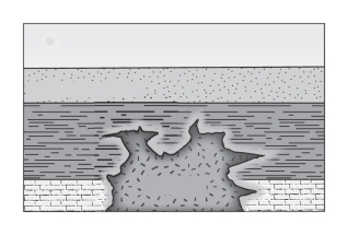 <strong>The marble rind surrounding the granite pluton must be younger than the limestone according to the principle of ____________. </strong> A)superposition B)baked contacts C)original horizontality D)original continuity