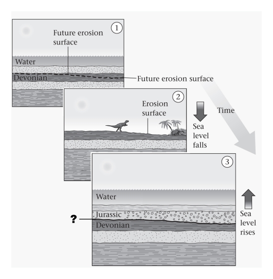 <strong>Buried erosional surfaces between parallel sedimentary strata are termed ____________. </strong> A)disconformities B)angular unconformities C)nonconformities