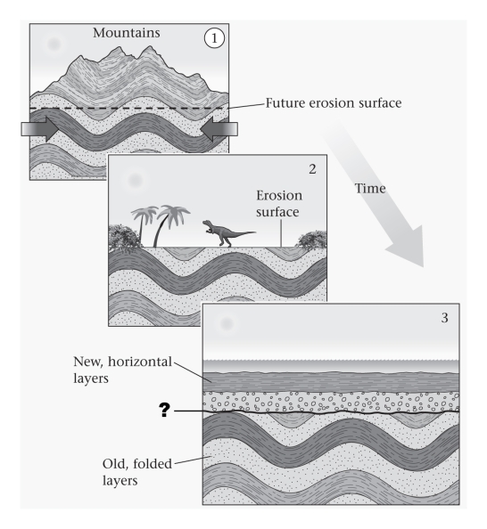 <strong>If horizontal sedimentary strata overlie tilted strata (and no fault is present),the surface between the horizontal and tilted strata must be a(n)____________. </strong> A)conformable sedimentary contact B)angular unconformity C)disconformity D)nonconformity