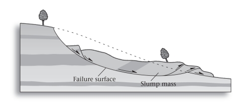 <strong>A ____________ may form at the head of a slump. </strong> A)toe B)failure surface C)scarp D)mass