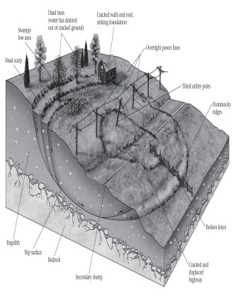 <strong>____________ are surface features indicative of a developing slump. </strong> A)Dead trees B)Sinking foundations C)Tilted utility poles D)All of the above are correct.