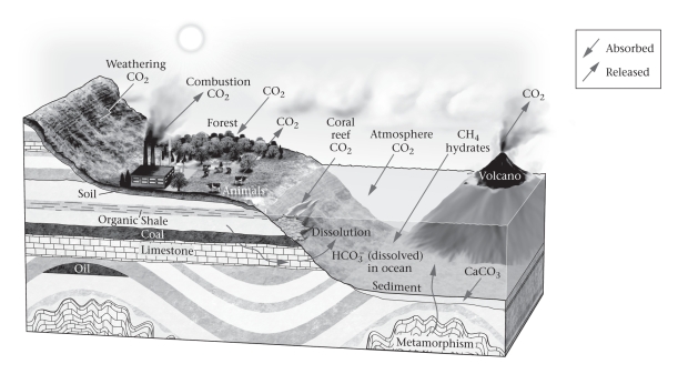 <strong>The figure below shows a variety of processes that are part of the global carbon cycle.Which of the following three chemicals besides CO₂ are shown as part of the carbon cycle?  </strong> A)CO (carbon monoxide),C (graphite or diamond),and CO₃ (carbon trioxide) B)CH₄ (methane),O₃ (ozone),and C (graphite or diamond) C)CH₄ (methane),HCO₃- (bicarbonate),and CaCO₃ (calcite) D)CO (carbon monoxide),CO₃ (carbon trioxide),and CaCO₃ (calcite) <div style=padding-top: 35px> 
