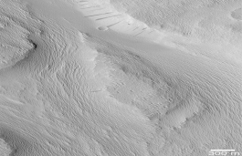 <strong>The following is a picture of a landform on Mars.What feature in this picture indicates that Mars may have had running water some time in the past? </strong> A) deeply cut channels formed by a flowing river B) large sandbars likely formed by a sediment-choked river C) depressions formed during collapse of sinkholes D) a large flat expanse of land, likely a river floodplain