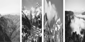 <strong>Which of the following mountain ranges is likely composed of soft material? Figure 1 Figure 2 Figure 3 Figure 4</strong> A) Figure 1 B) Figure 2 C) Figure 3 D) Figure 4