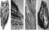 <strong>Which of the rocks pictured below is most likely to contain fossils? Figure 1 Figure 2 Figure 3 Figure 4  </strong> A) Figure 1 B) Figure 2 C) Figure 3 D) Figure 4 <div style=padding-top: 35px> 