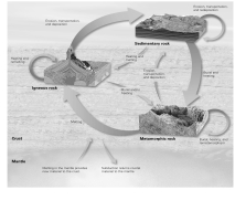 <strong>What is the name of the cycle shown in the picture? </strong> A) hydrologic cycle B) erosion cycle C) rock cycle D) carbon cycle