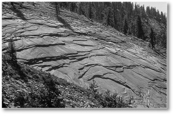 <strong>The following is a picture of what type of phenomenon?  </strong> A) jointing B) differential weathering C) chemical weathering D) hydration <div style=padding-top: 35px> 